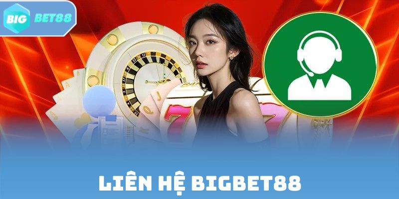 Liên Hệ Bigbet88 | Hỗ Trợ Người Chơi Xuyên Suốt 24/7