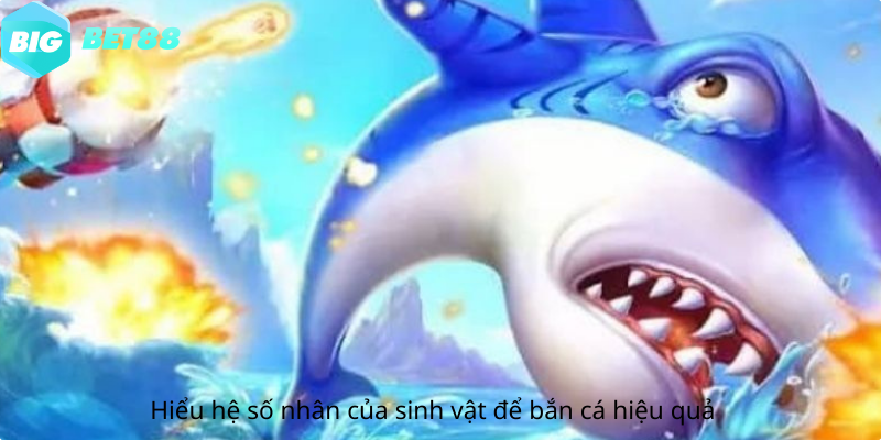 Hiểu hệ số nhân của sinh vật để bắn cá hiệu quả