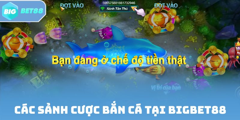 Các sảnh cược bắn cá tại Bigbet88