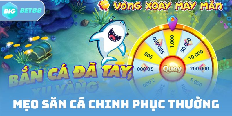 Mẹo săn cá giúp cho hội viên chinh phục tiền thưởng khủng