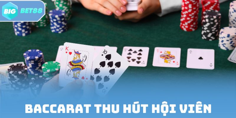 Baccarat thu hút hội viên