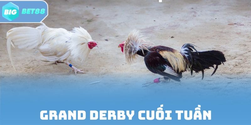 CPC tổ chức Grand Derby cuối tuần, thu hút cao thủ châu Á