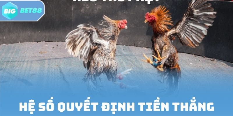 Hệ số nhân quyết định tiền thắng Meron/Wala/Draw