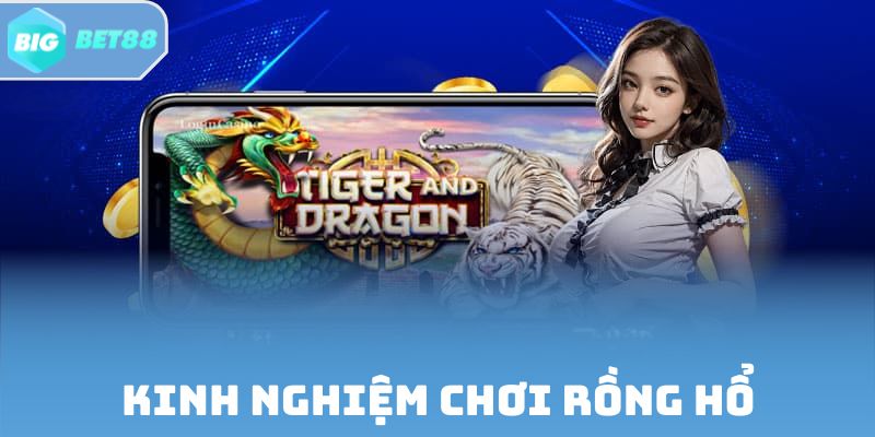 Kinh Nghiệm Chơi Rồng Hổ