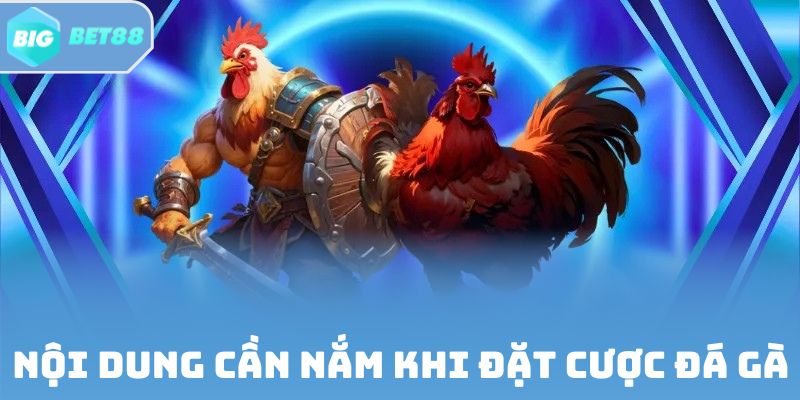 Nội dung cần nắm khi đặt cược đá gà