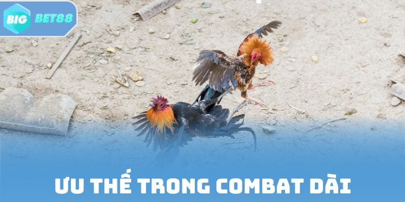 Sức bền, kinh nghiệm quyết định ưu thế trong combat dài