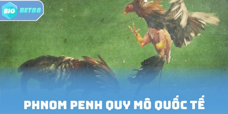 Trường Phnom Penh quy mô quốc tế, tổ chức mỗi ngày